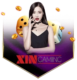 xin-gaming-1